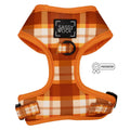 Dog Adjustable Harness - Spiced Harvest : XSmall