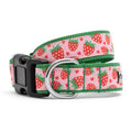 Strawberries Collar: Pink / Small