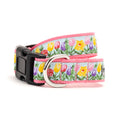 Hello Spring Collar: Blue / X Large
