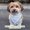 Hippity Hoppity Bandana: S