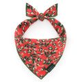 Rifle Paper Co. x TFD Mistletoe Dog Bandana: Small