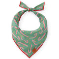 Hooked on You Dog Bandana
