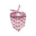 Delicious Dragonfruit - Bandana