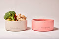 Classic Ceramic Bowl-Pink