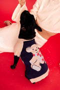 Teddy Raglan Sweater
